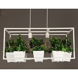 Lampada a sospensione moderna e contemporanea dal design decorativo (non include le piante)