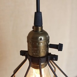 L'industria rurale americana ha assunto un singolo capo per un piccolo lampadario in ferro creativo