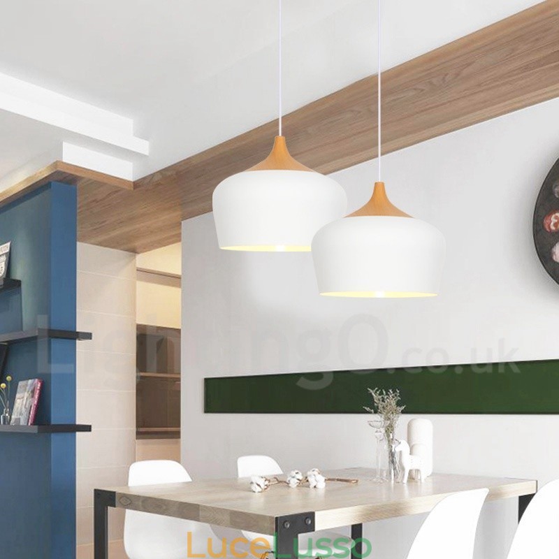 Lampada a sospensione moderna contemporanea a 1 luce