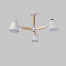 Caratteristica della pittura d'epoca per lampadario in metallo