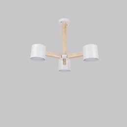Caratteristica della pittura d'epoca per lampadario in metallo