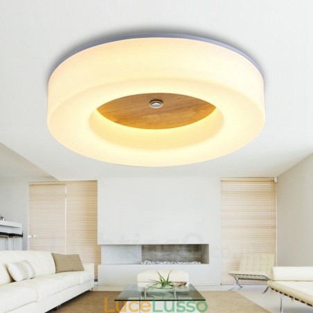 Plafoniere da soffitto moderne e contemporanee in stile nordico con paralume in acrilico Plafoniere da soffitto moderne e contemporanee in stile nordico con paralume in acrilico