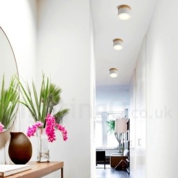 Mini plafoniera in legno dal design moderno con paralume in acrilico, speciale per essere utilizzata anche come applique