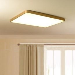 Plafoniere da soffitto in ottone a filo stile nordico moderno contemporaneo dimmerabile ultra sottile rettangolare con paralume in acrilico, utilizzabili anche come applique