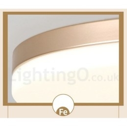Plafoniere da soffitto in stile nordico moderno contemporaneo dimmerabile ultra sottile e rotondo con paralume in acrilico, utilizzabili anche come applique