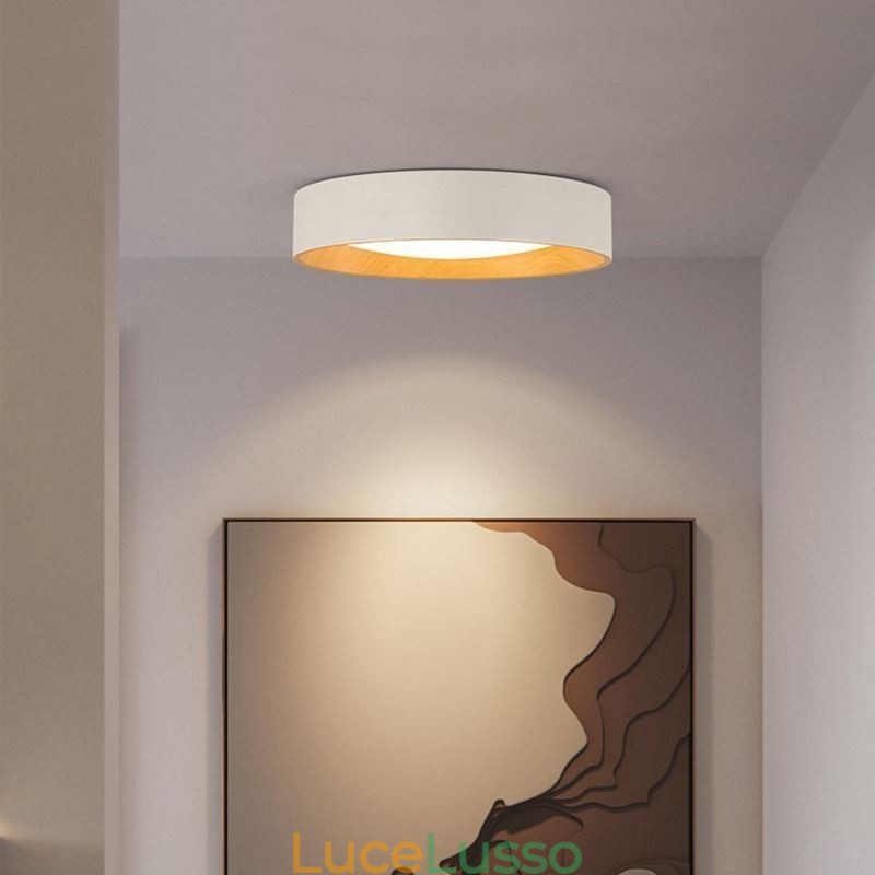 Lampada da soffitto moderna minimalista con pannello a filo