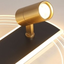 Lampada da soffitto con faretto decorativo in acrilico unico