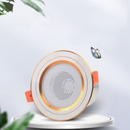 Lampada da soffitto intelligente con altoparlante musicale Bluetooth da incasso per telefono cellulare
