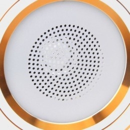 Lampada da soffitto intelligente con altoparlante musicale Bluetooth da incasso per telefono cellulare