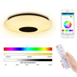 Lampada da soffitto colorata a filo con funzione di temporizzazione dell'altoparlante musicale Bluetooth