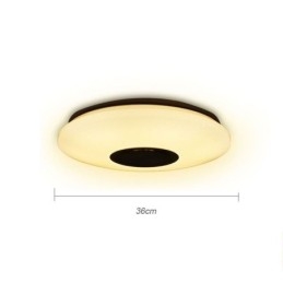 Lampada da soffitto colorata a filo con funzione di temporizzazione dell'altoparlante musicale Bluetooth