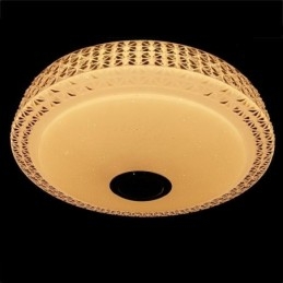 Lampada da soffitto decorativa con telecomando APP, altoparlante musicale Bluetooth, montaggio a filo