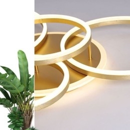 Lampada da soffitto moderna in acrilico con montaggio a filo Halo Ring