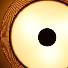 Lampada da soffitto rotonda giapponese creativa con montaggio a filo in bambù speciale cinese