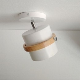Faretto rotondo Macaron, luce da soffitto cromatica (luce singola)
