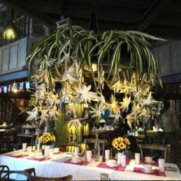 Lampada a sospensione per la casa Lampadario decorato con pianta artificiale in stile industriale