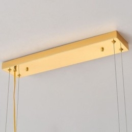 Lampadario in vetro artistico con piuma ovale