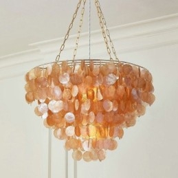 Lampadario a conchiglia naturale rotondo a strati marrone chiaro nero