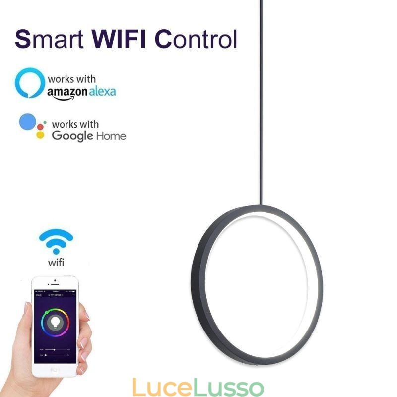 Lampada a sospensione ad anello minimalista Lampada da soffitto decorativa