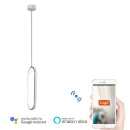 Lampada a sospensione ovale in acrilico, lampada decorativa