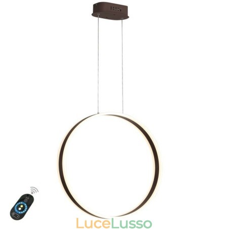 Lampada a sospensione nordica Lampada a sospensione a forma di anello in acrilico Lampada a sospensione nordica Lampada a sospensione a forma di anello in acrilico