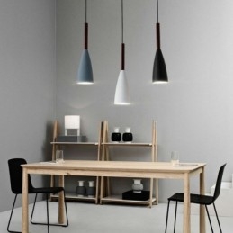 Lampada a sospensione moderna Lampada a sospensione speciale dal design semplice