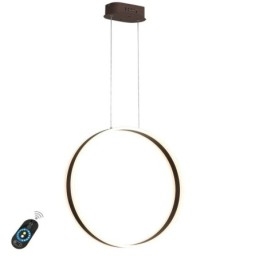 Lampada a sospensione nordica Lampada a sospensione a forma di anello in acrilico