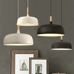 Lampada a sospensione nordica Lampada regolabile individuale Illuminazione per la casa Luce di calore