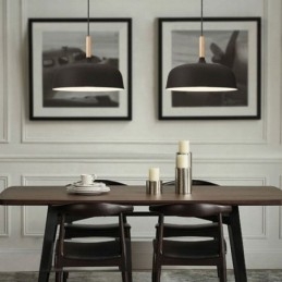 Lampada a sospensione nordica Lampada regolabile individuale Illuminazione per la casa Luce di calore