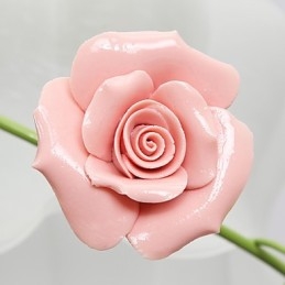 San Valentino I fiori e le piante del roseto assorbono la luce della cupola