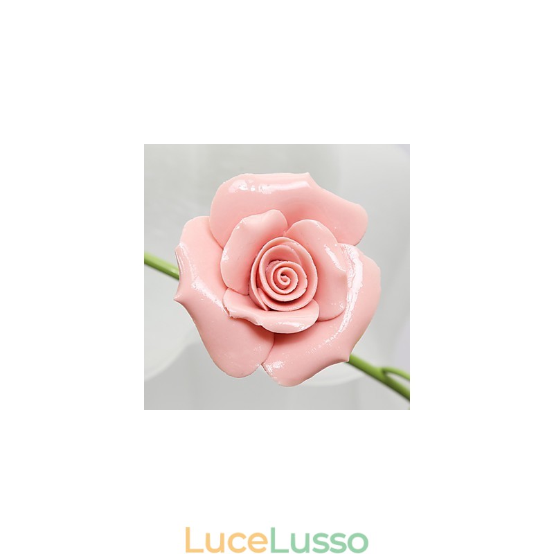 San Valentino I fiori e le piante del roseto assorbono la luce della cupola