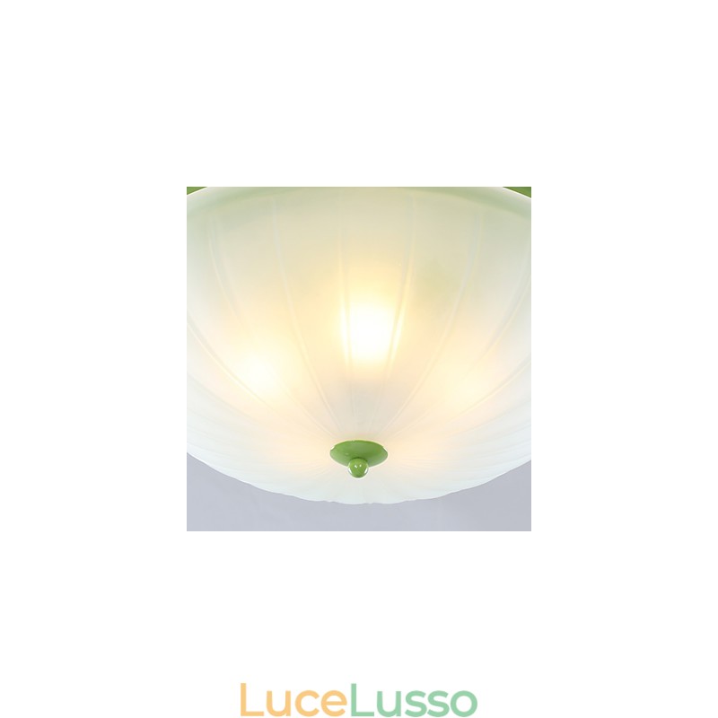 I fiori e le piante del giardino di San Valentino assorbono la luce della cupola