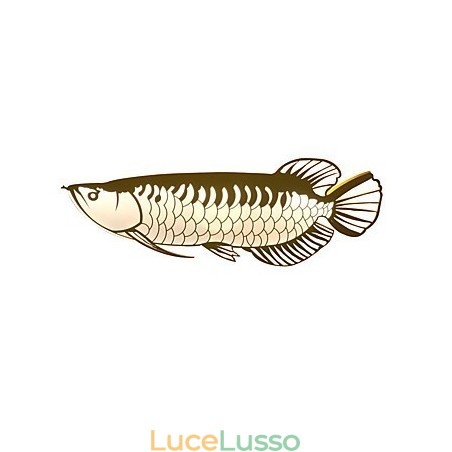 Moderne luci da parete a forma di pesce, stile semplice, illuminazione acrilica, soggiorno, corridoio, camera da letto, camere d'albergo, illuminazione decorativa Moderne luci da parete a forma di pesce, stile semplice, illuminazione acrilica, soggiorno, corridoio, camera da letto, camere d'albergo, illuminazione decorativa