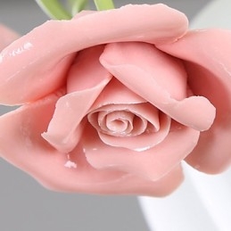 San Valentino I fiori e le piante del roseto assorbono la luce della cupola