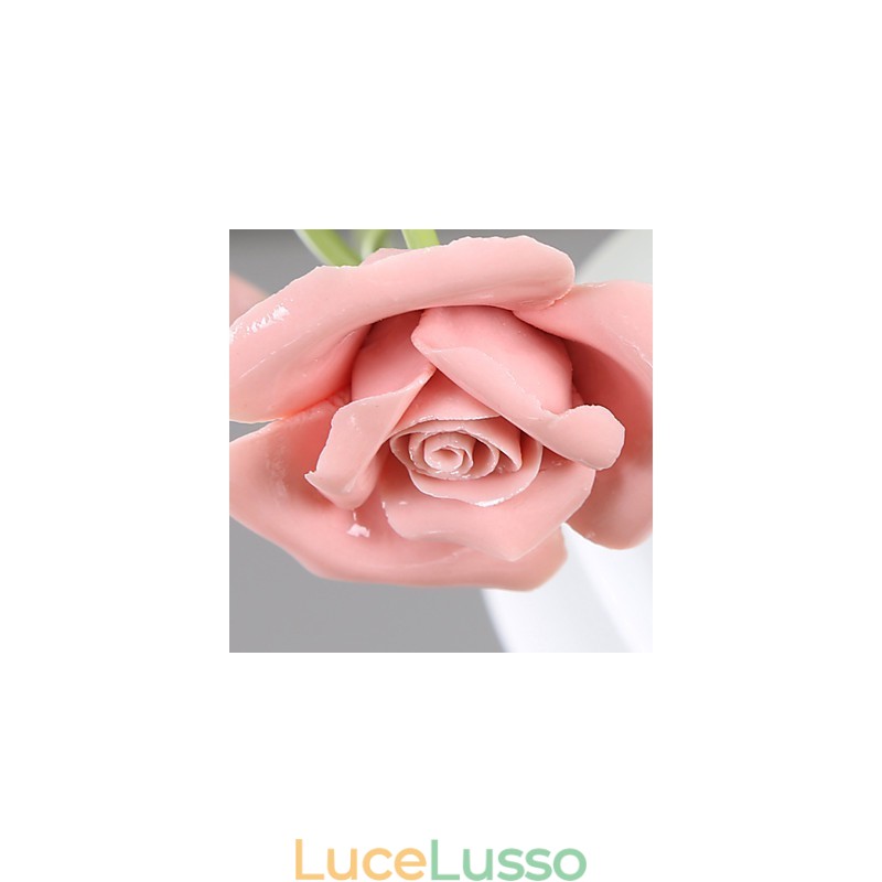 San Valentino I fiori e le piante del roseto assorbono la luce della cupola