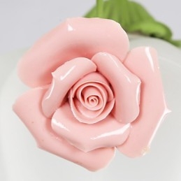 I fiori e le piante del giardino di San Valentino assorbono la luce della cupola