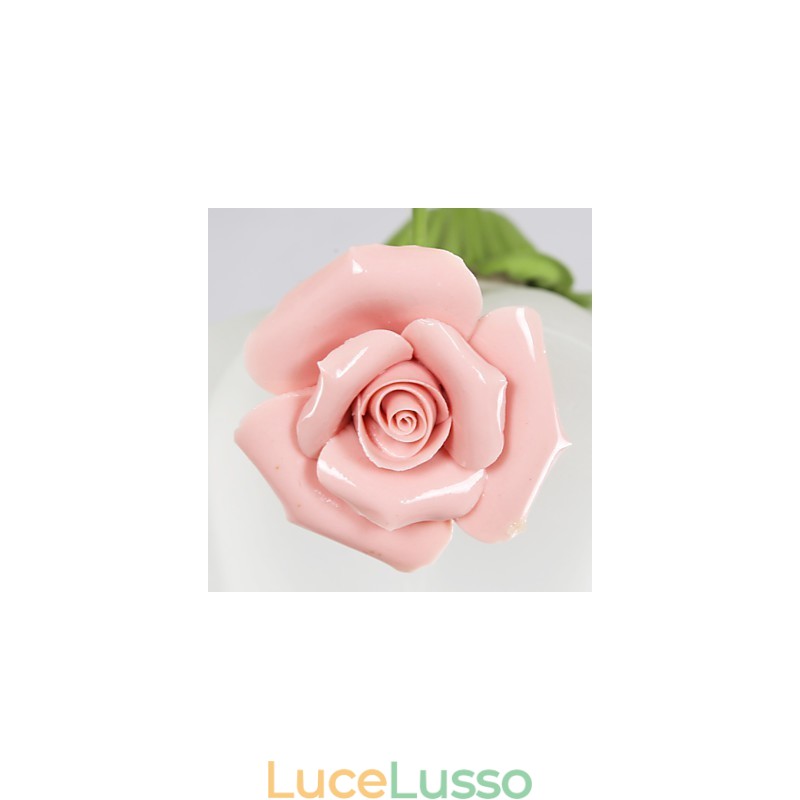 I fiori e le piante del giardino di San Valentino assorbono la luce della cupola