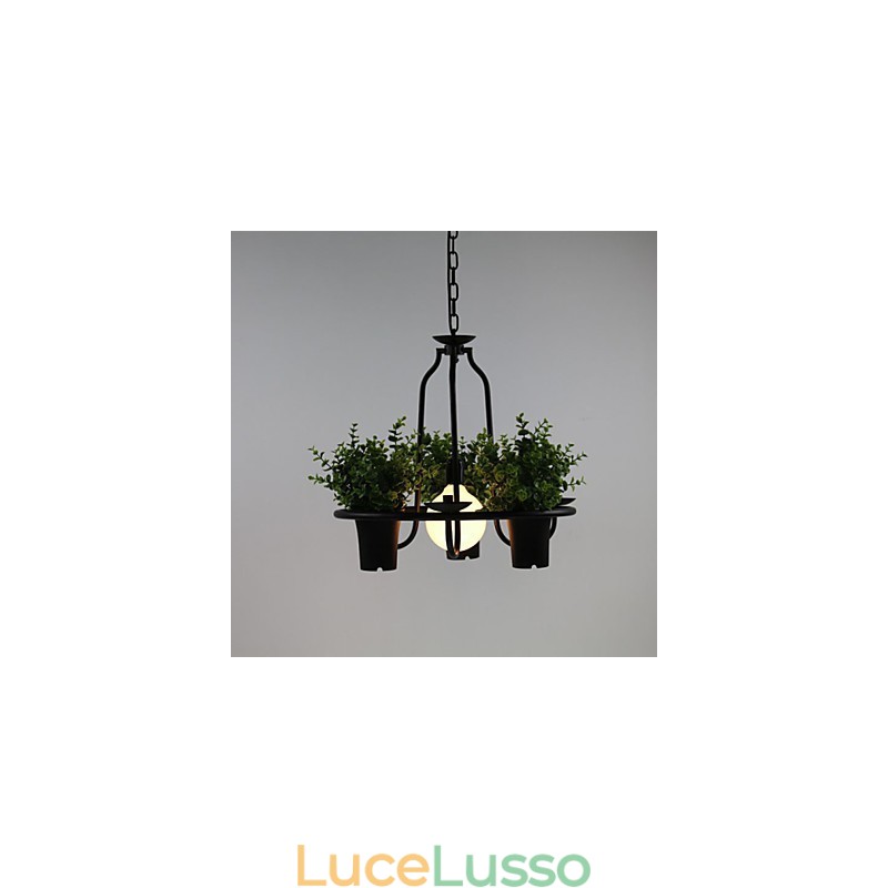 Fiori del giardino mediterraneo Luce